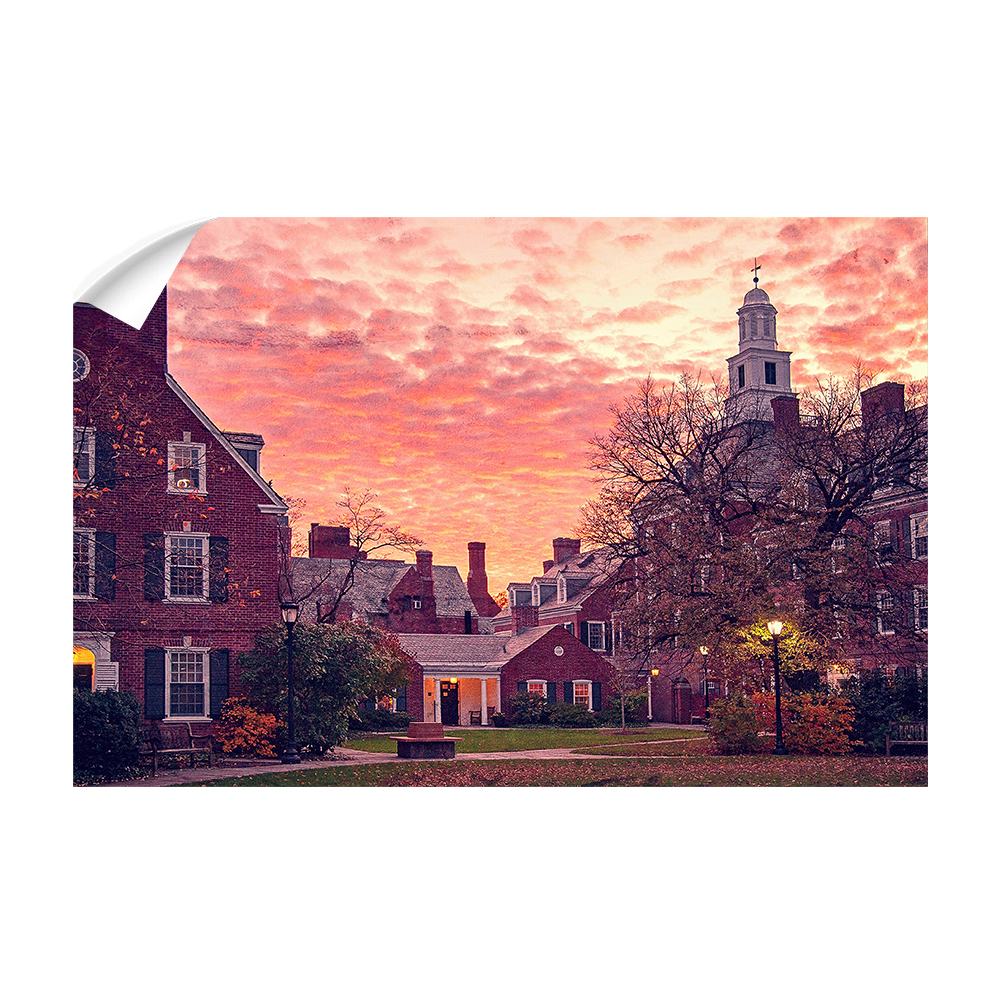 Yale Bulldogs - Campus Sunset #Canvas