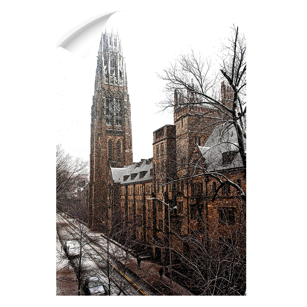 Yale Bulldogs - Harkness Winter -College Wall Art #Canvas