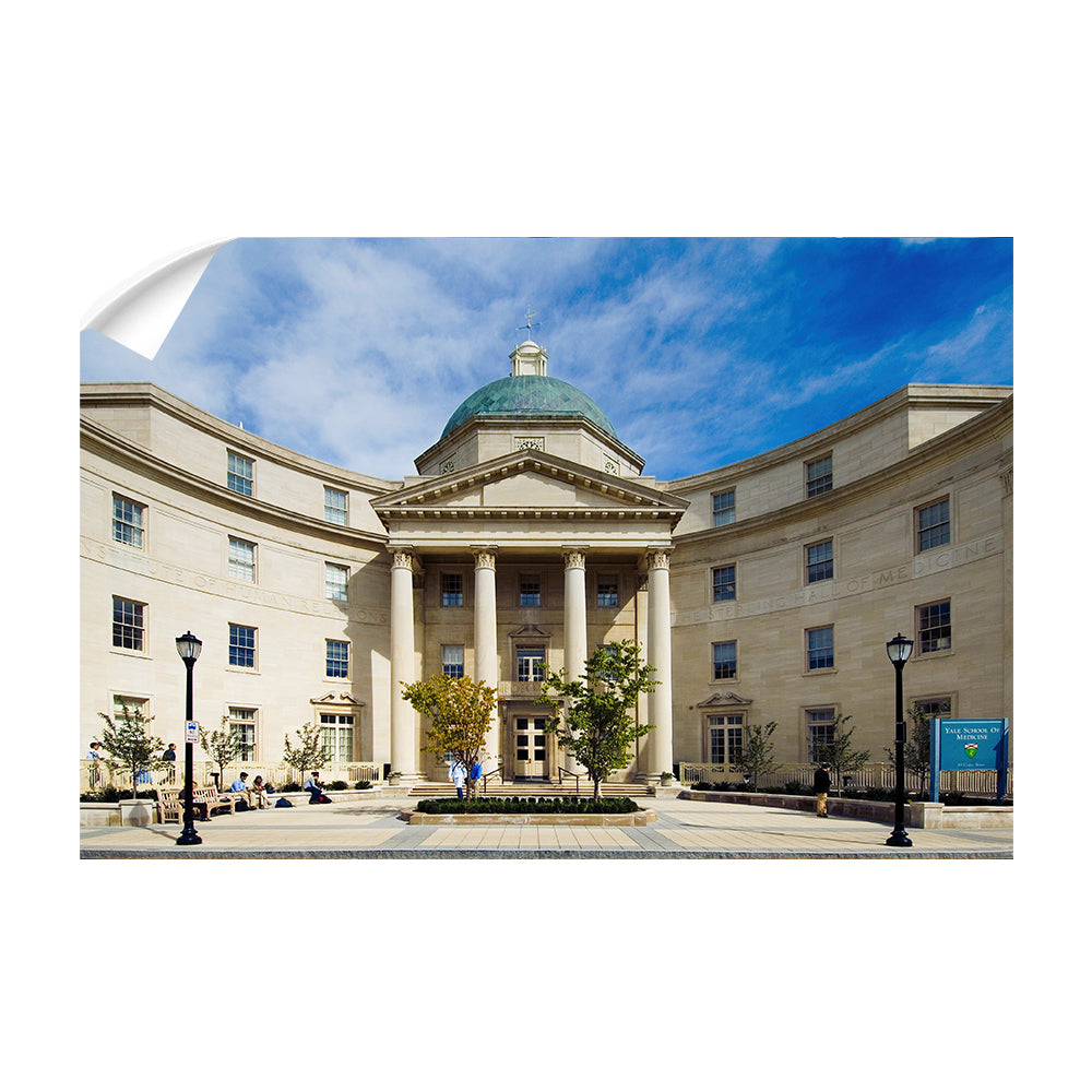 Yale Bulldogs - Sterling Hall of Medicine - College Wall Art #Canvas