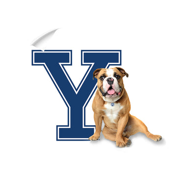 Yale Bulldogs - Yale Handsome Dan #Wall Decal