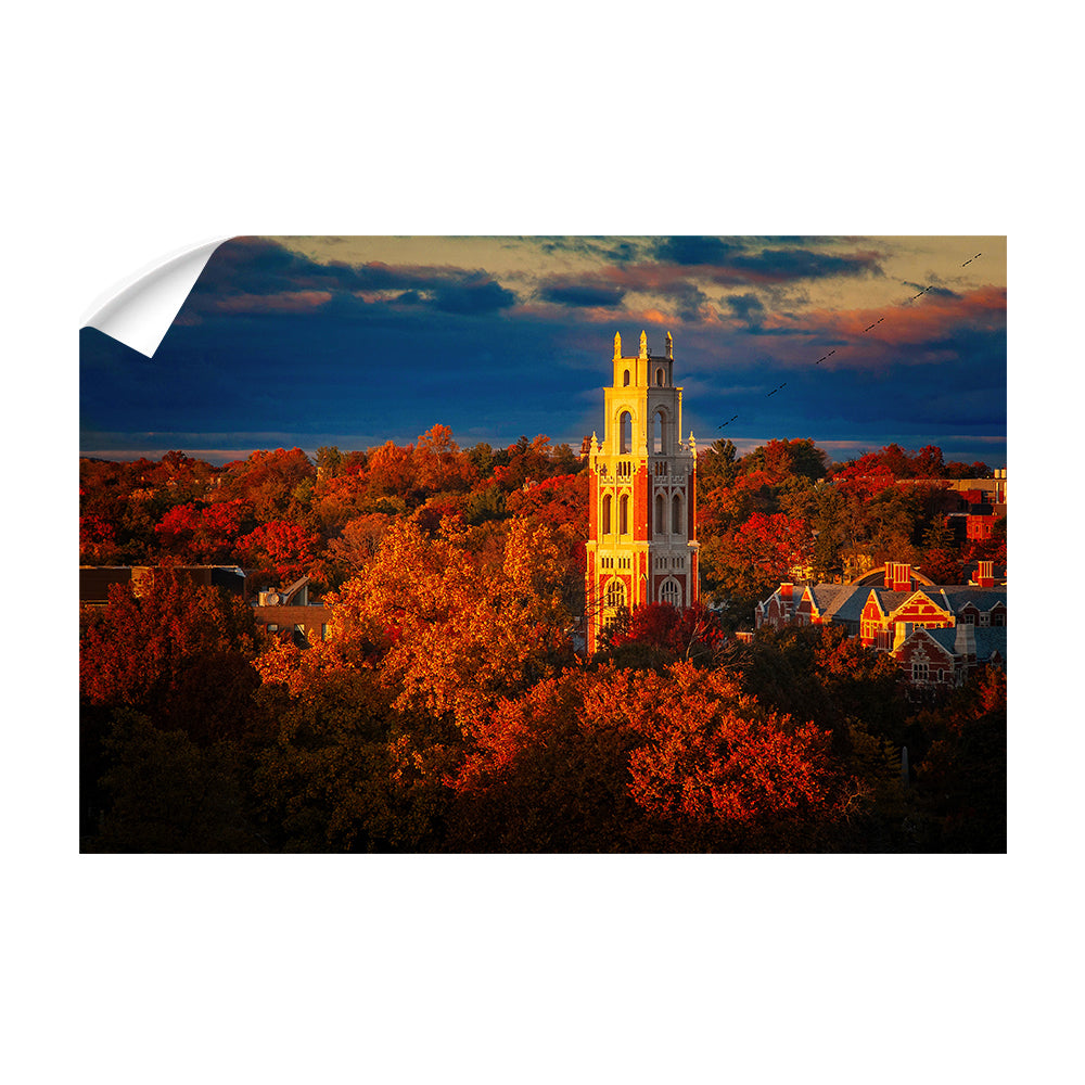 Yale Bulldogs - Fall Franklin Tower #Canvas