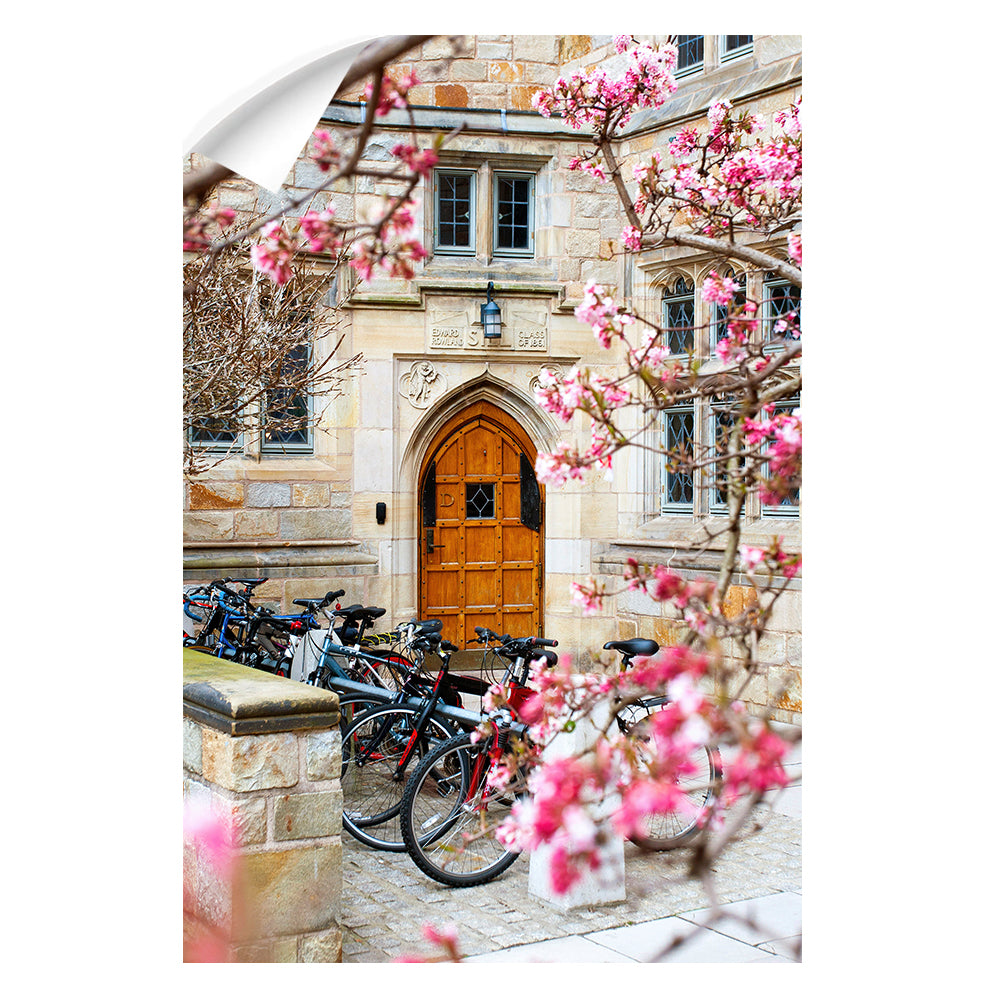 Yale Bulldogs - Saybrook College Spring Flowers #Canvas