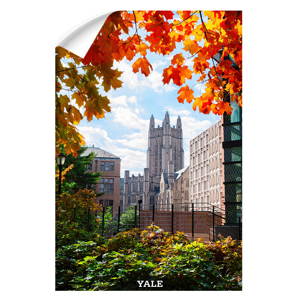 Yale Bulldogs - Sheffield-Sterling-Strathcona Hall Fall #Canvas