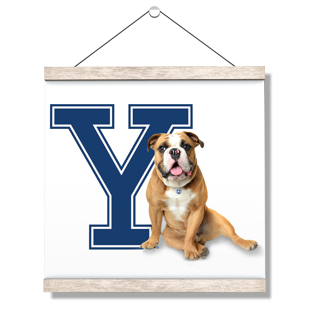 Yale Bulldogs - Yale Handsome Dan #Canvas