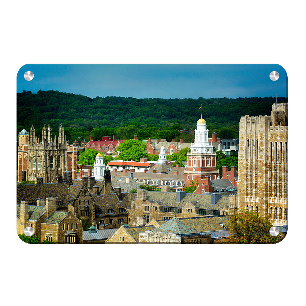 Yale Bulldogs - Yale Campus -College Wall  Art #Canvas