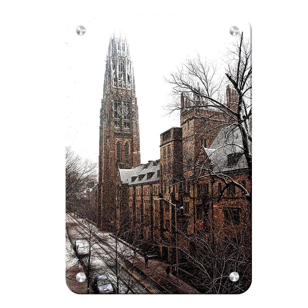 Yale Bulldogs - Harkness Winter -College Wall Art #Canvas