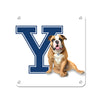 Yale Bulldogs - Yale Handsome Dan #Metal