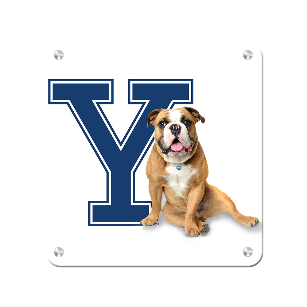 Yale Bulldogs - Yale Handsome Dan #Canvas