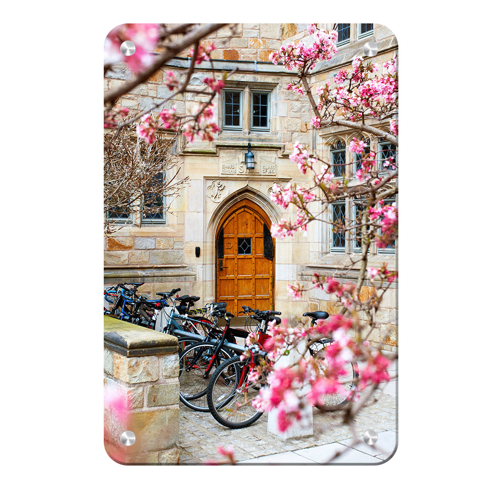 Yale Bulldogs - Saybrook College Spring Flowers #Canvas
