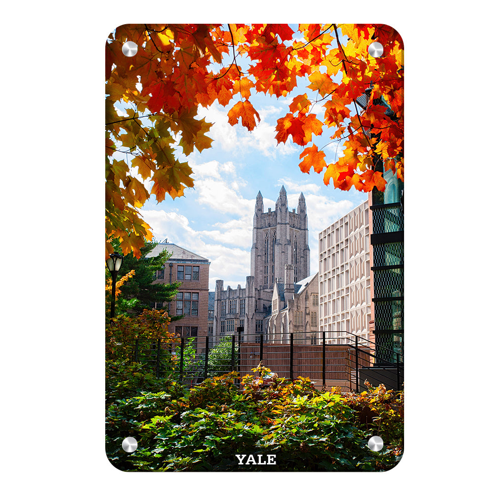 Yale Bulldogs - Sheffield-Sterling-Strathcona Hall Fall #Canvas