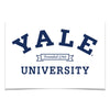 Yale Bulldogs - Yale University founded 1701 #Poster