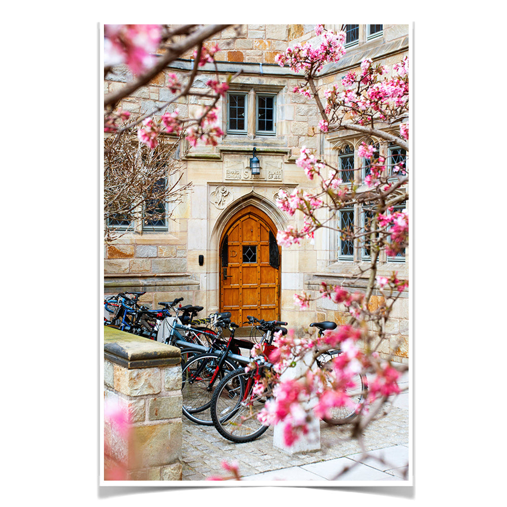 Yale Bulldogs - Saybrook College Spring Flowers #Canvas