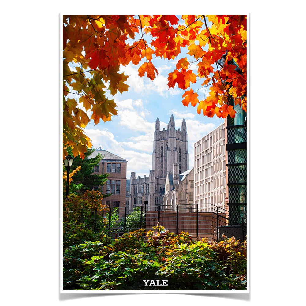 Yale Bulldogs - Sheffield-Sterling-Strathcona Hall Fall #Canvas