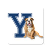 Yale Bulldogs - Yale Handsome Dan #PVC