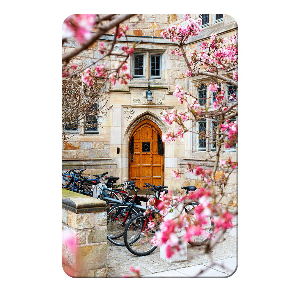 Yale Bulldogs - Saybrook College Spring Flowers #Canvas