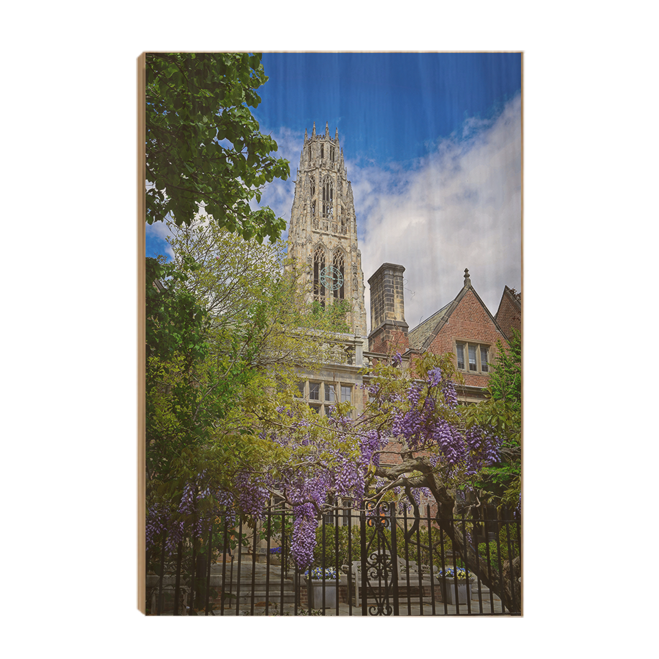Yale Bulldogs - Springtime Harkness Tower - College Wall Art #Canvas