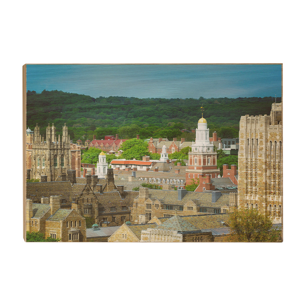 Yale Bulldogs - Yale Campus -College Wall  Art #Canvas