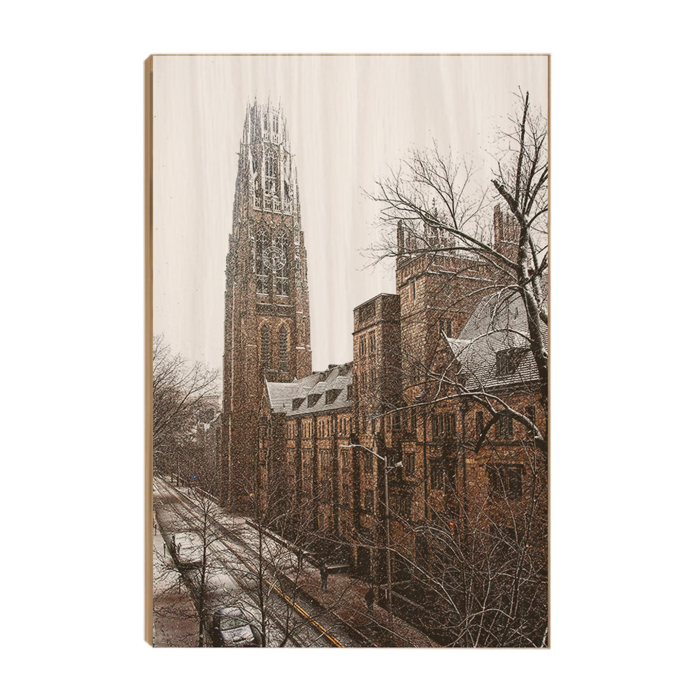 Yale Bulldogs - Harkness Winter -College Wall Art #Canvas