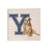 Yale Bulldogs - Yale Handsome Dan #Wood
