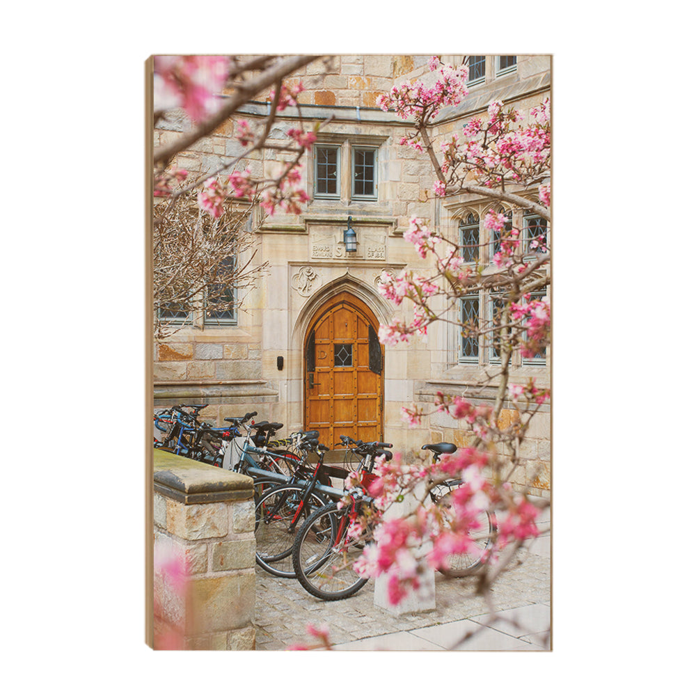 Yale Bulldogs - Saybrook College Spring Flowers #Canvas