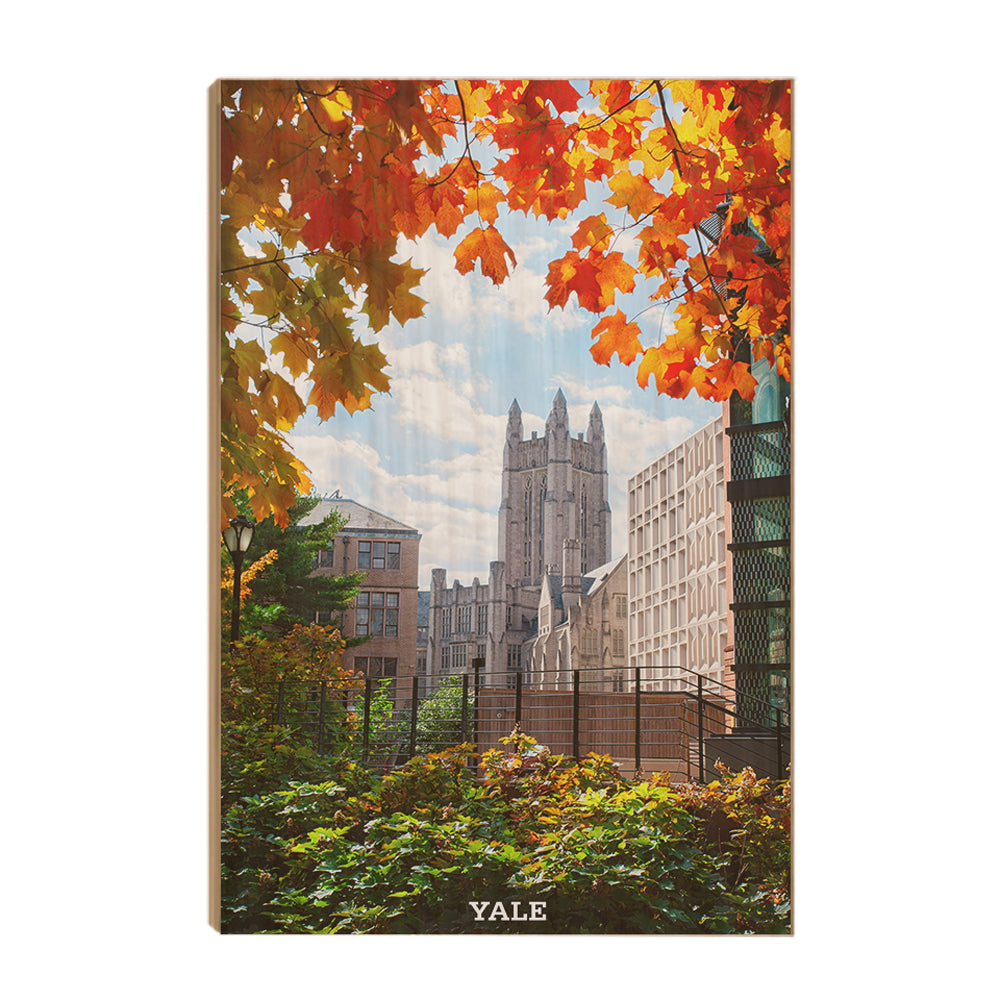 Yale Bulldogs - Sheffield-Sterling-Strathcona Hall Fall #Canvas